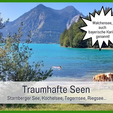Birkenoase - Sauna- Terrasse-drei Schlafzimmer *